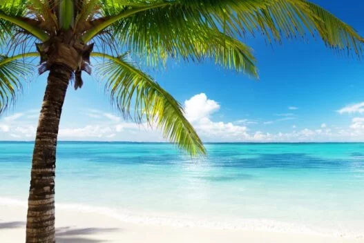 Palmestrand i Caribien